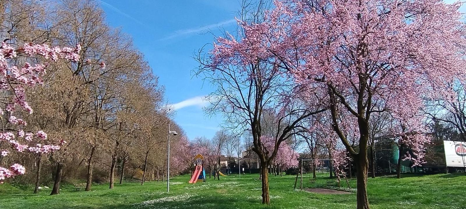 Shanti Ca' Casa Indipendente Con Giardino Lacchiarella Zewnętrze zdjęcie